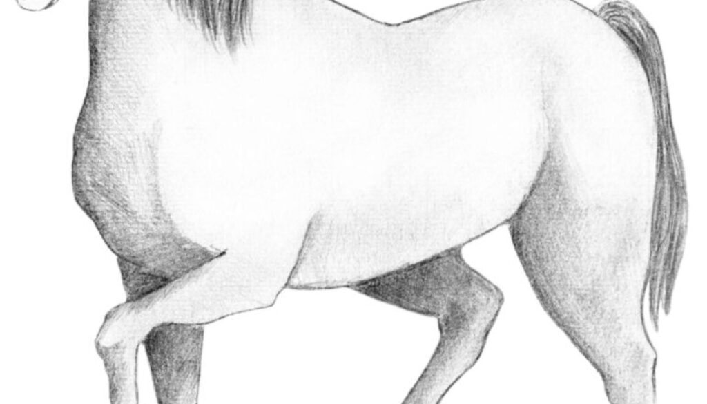 2150035-scaled-1