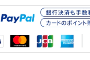 Paypal-logo-2