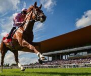 curragh