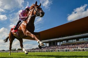 curragh