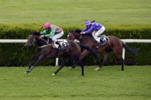horse-racing-1577292_1280