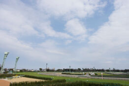 photo0000-4226-1