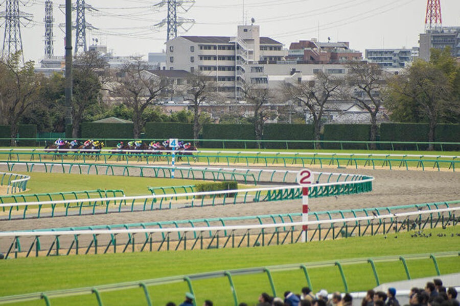 2025年4月6日（日）■大阪杯■総合指数表■注目馬/参考買い目■