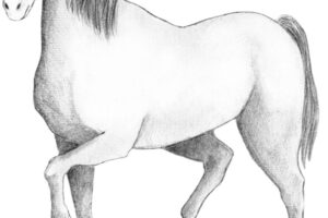 2150035-scaled